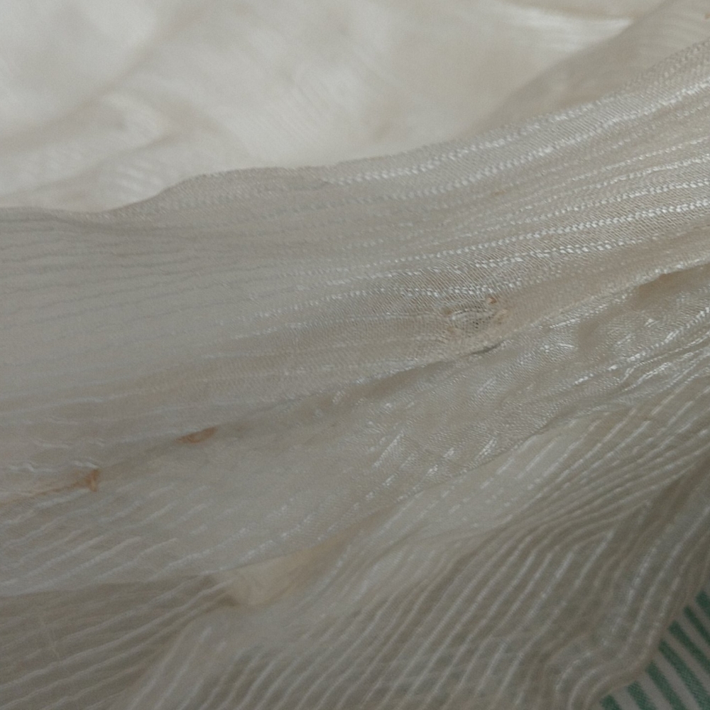 #9 1930s ANTIQUE SHEER GOSSAMER GOWN w Original Taffeta Slip - Picture 4 of 13